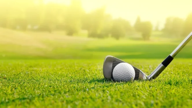 Golf ball resting beside a golf club on a sunlit green fairway with a blurred background.