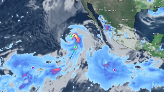 Tropical Storm Julio Forms in Pacific—BCS Watching for Swells