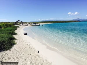 Tourist Evacuated from Isla Coronado After Weather Turns