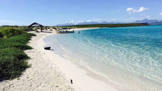 Tourist Evacuated from Isla Coronado After Weather Turns