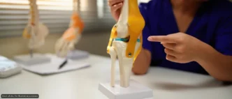 Knee joint model on a stand with colored ligaments, as a person in blue points at it in a classroom.