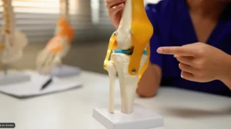 Knee joint model on a stand with colored ligaments, as a person in blue points at it in a classroom.