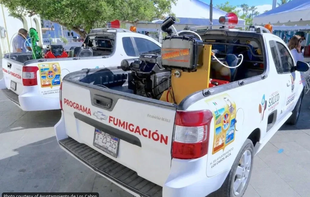 Cabo San Lucas Fumigation Campaign Starts This Month