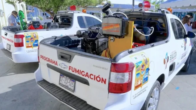 Cabo San Lucas Fumigation Campaign Starts This Month