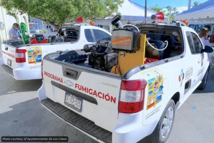 Cabo San Lucas Fumigation Campaign Starts This Month