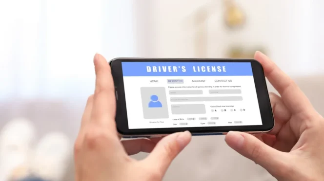 Virtual Driver's License Coming to Baja California Sur