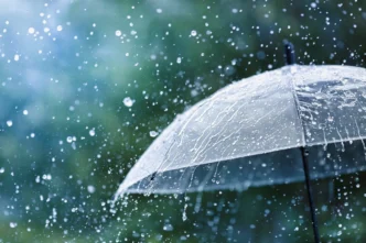 Monsoon Rains Trigger Arroyo Rescue in Los Cabos