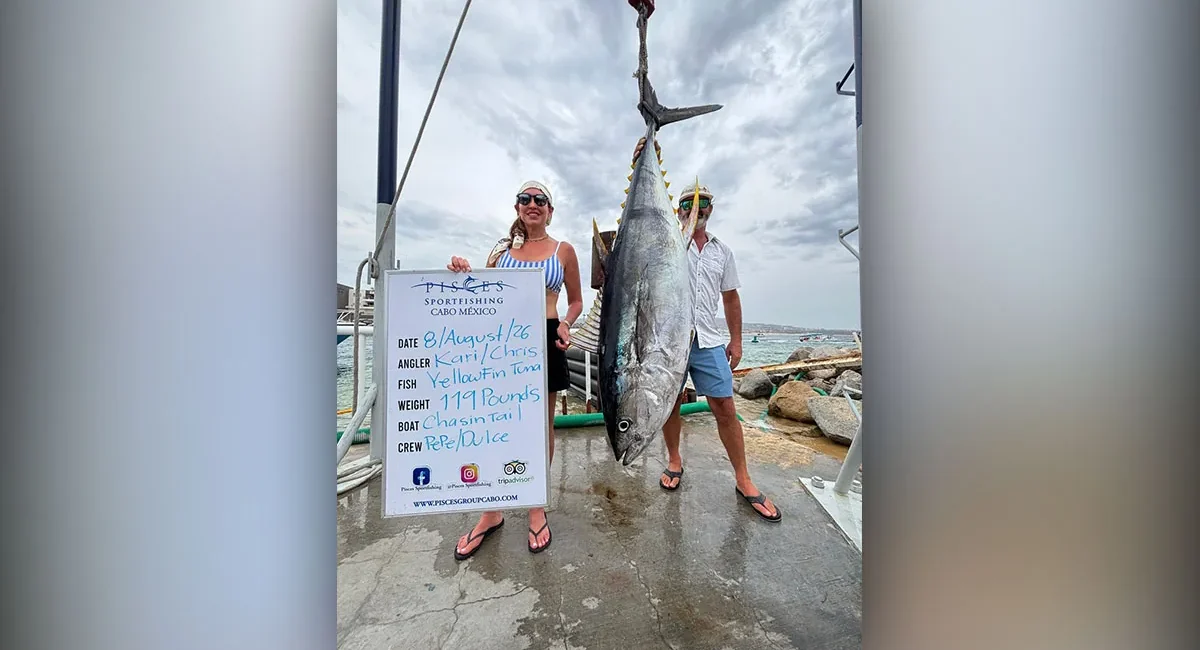 Fish Report: From La Paz to Cabo San Lucas