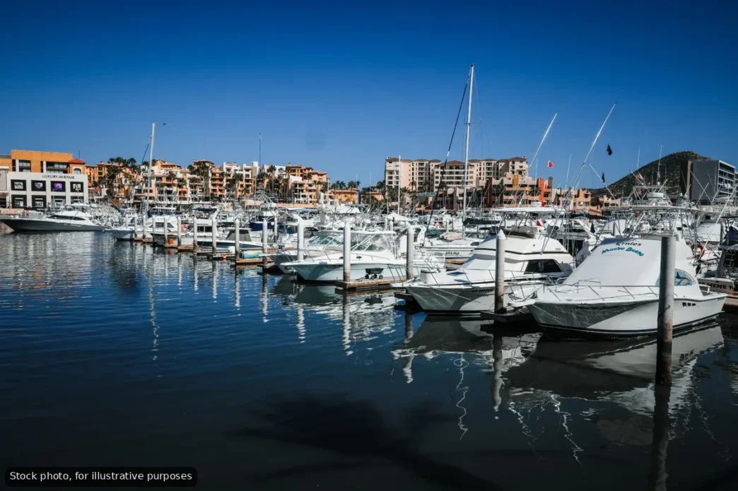 Marina filled with white yachts tied to docks, calm blue water reflecting the boats and distant buildings.
