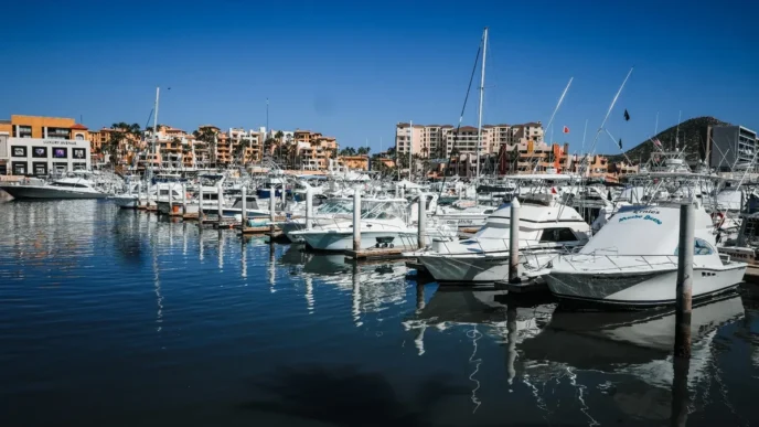Marina filled with white yachts tied to docks, calm blue water reflecting the boats and distant buildings.