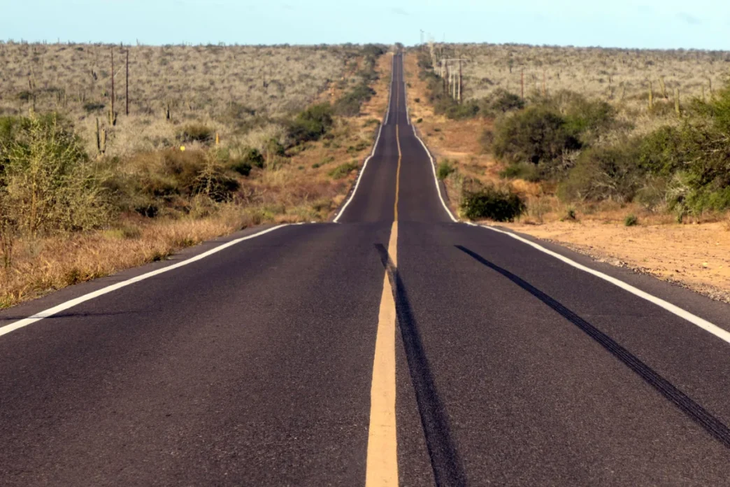 Paved desert highway extending straight into the horizon, flanked by scrubby vegetation and low hills.