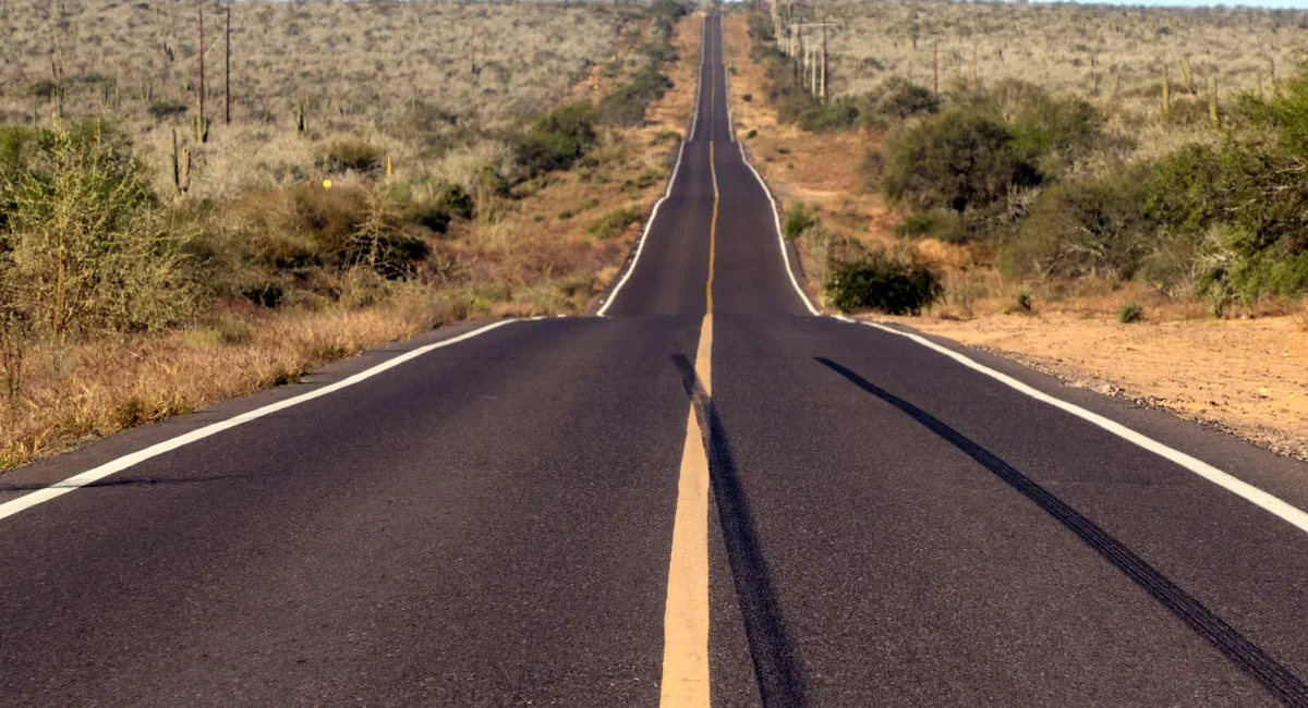 Paved desert highway extending straight into the horizon, flanked by scrubby vegetation and low hills.