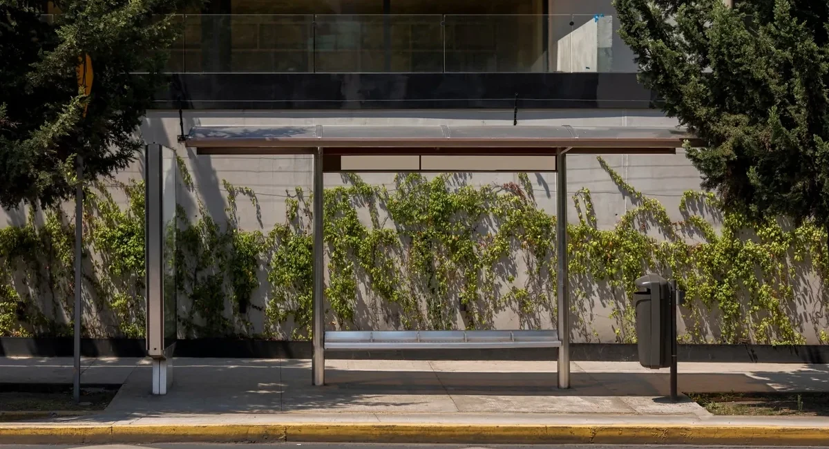 Los Cabos to Fix Sidewalks at Bus Stops Along Transit Routes
