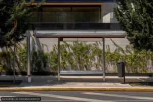 Los Cabos to Fix Sidewalks at Bus Stops Along Transit Routes