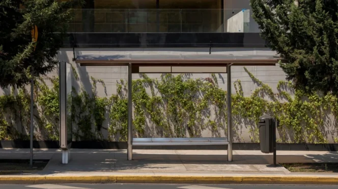 Los Cabos to Fix Sidewalks at Bus Stops Along Transit Routes