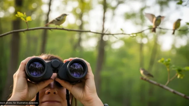 La Paz Ecoparque Launches Bird-Watching Guide Program