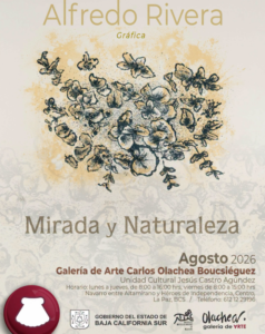 Gaze and Nature 2026