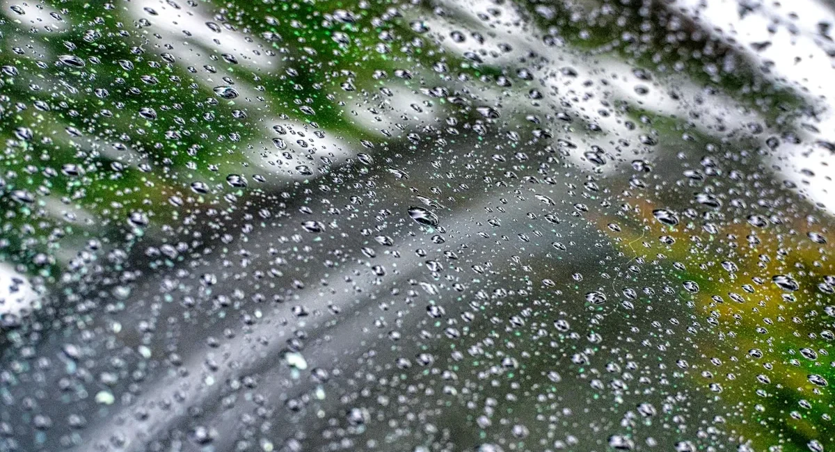 Close-up of raindrops on a car windshield with a blurred street and greenery in the background.