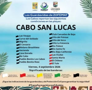 Cabo Beaches Reopen for Swimmers but Swell Closes Some