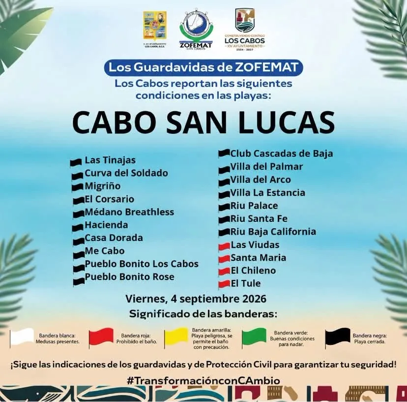 Cabo Beaches Reopen for Swimmers but Swell Closes Some - Gringo Gazette Cabo Beaches Reopen for Swimmers but Swell Closes Some