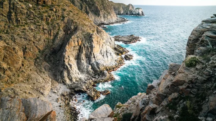 BCS Creates First Climate Fund to Finance Environmental Projects