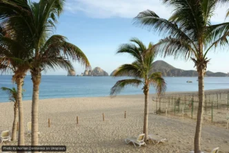 Empty Chairs, Canceled Bookings: How Hurricane Polo Cost Cabo