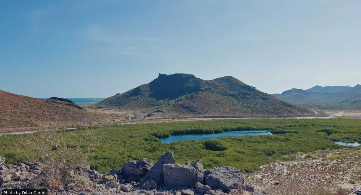 Desert landscape with rocky hills, a blue lagoon, and green mangrove wetlands under a clear sky.