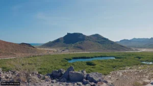 Desert landscape with rocky hills, a blue lagoon, and green mangrove wetlands under a clear sky.