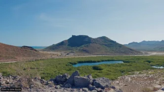 Desert landscape with rocky hills, a blue lagoon, and green mangrove wetlands under a clear sky.