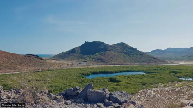 Desert landscape with rocky hills, a blue lagoon, and green mangrove wetlands under a clear sky.