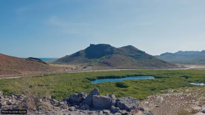 Desert landscape with rocky hills, a blue lagoon, and green mangrove wetlands under a clear sky.