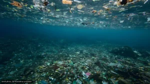 Cabo Bay Cleanup Set After Rains Wash Debris to Seafloor