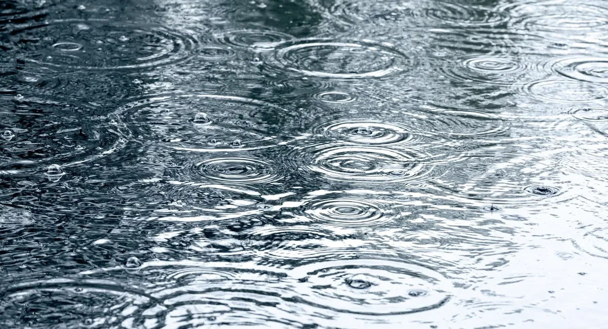 Heavy Rain Forecast Remains in Effect Across BCS