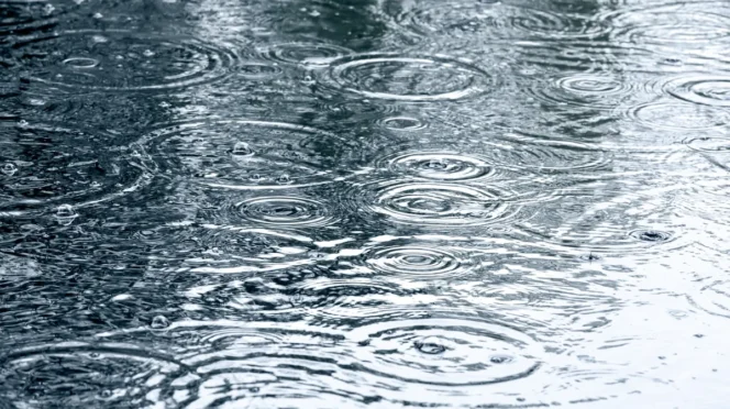 Heavy Rain Forecast Remains in Effect Across BCS