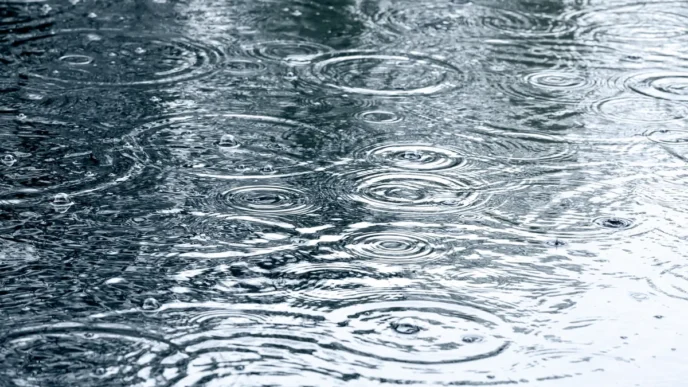 Heavy Rain Forecast Remains in Effect Across BCS