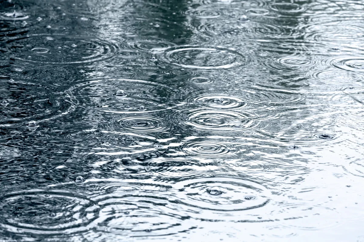 Heavy Rain Forecast Remains in Effect Across BCS