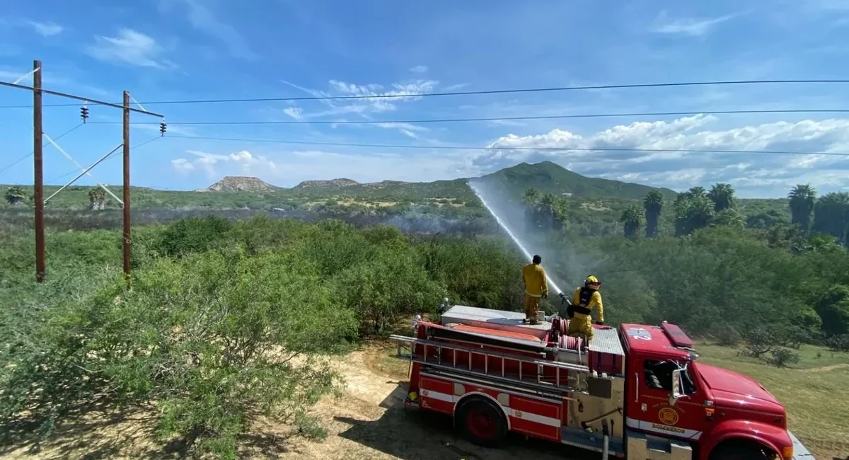 Los Cabos Firefighters Rescue 70 Animals So Far in 2026