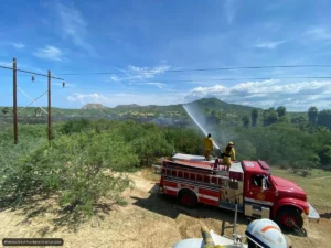 Los Cabos Firefighters Rescue 70 Animals So Far in 2026