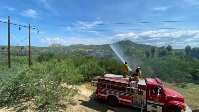 Los Cabos Firefighters Rescue 70 Animals So Far in 2026
