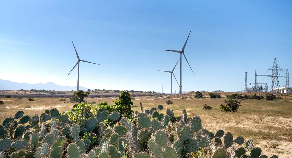 Mexico's Wind Energy Capacity Expected to Grow 84% by 2030