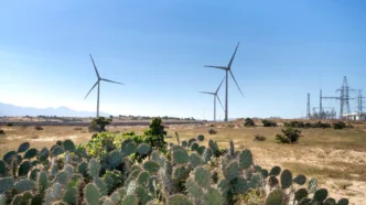 Mexico's Wind Energy Capacity Expected to Grow 84% by 2030