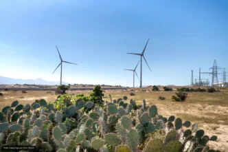 Mexico's Wind Energy Capacity Expected to Grow 84% by 2030