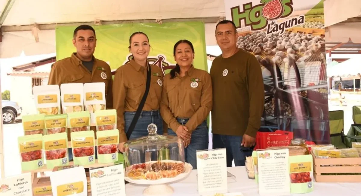 Mulegé's Third Annual Date Festival Showcases Region's Agriculture