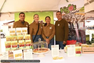 Mulegé's Third Annual Date Festival Showcases Region's Agriculture