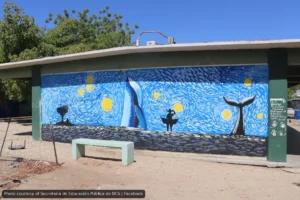 Los Cabos Teachers Question Federal Plan to Hire Cuban Educators