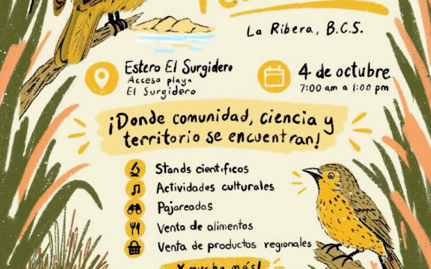 Poster for the 2do Festival de la Mascari­ta Peninsular, La Ribera, BC.S, with birds and nature motifs, date Oct 4 from 7:00 am to 1:00 pm (Entrada libre).