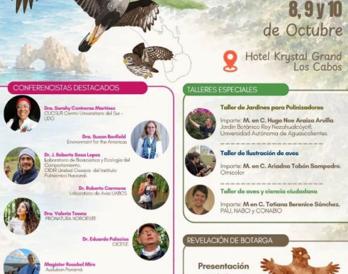 Poster advertising the 2nd Los Cabos Bird Festival 2026, showing a soaring osprey and event details on a colorful background.