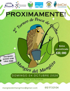 torneo de pesca mangles del manglito Poster for the Manglito Manglitos fishing tournament with a cartoon fish and rod on a lime-green background; Oct 4, 2026 at Playa La Posada; prize $30,000 and registration info.