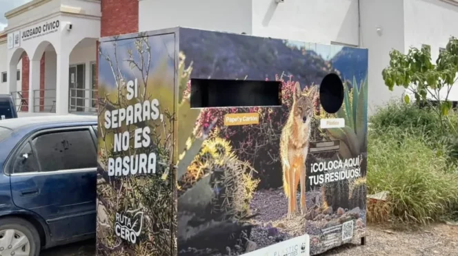 Todos Santos, La Paz Step Up Cleanup Efforts