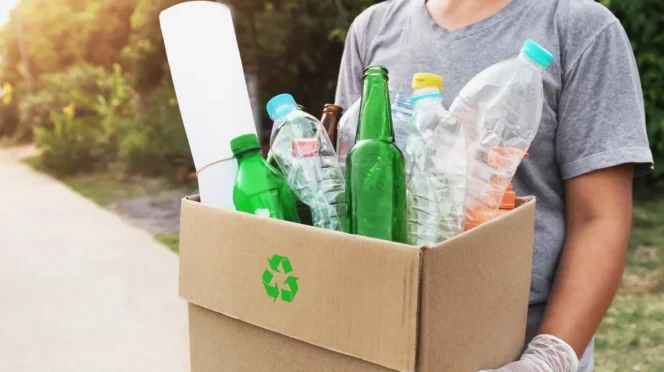 Person in a gray shirt holds a cardboard box full of recyclable plastic bottles for recycling.